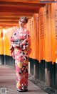 A woman in a kimono standing in front of a row of torii gates.